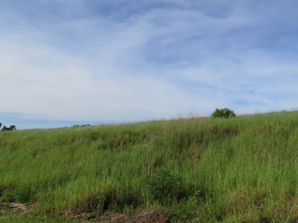Grassy hills you can bike ride past.