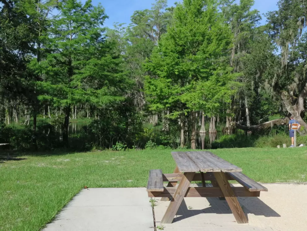 Picnic table near the canoe launch.