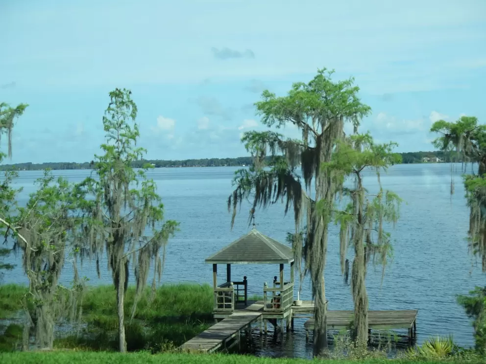 Dock and Spanish moss on a tree.
