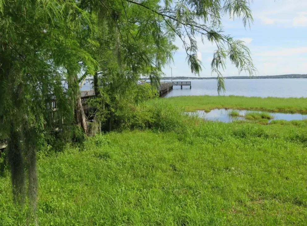 The pier and marsh.