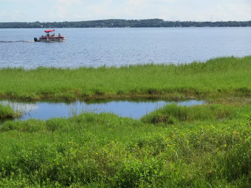 Marsh and boat.