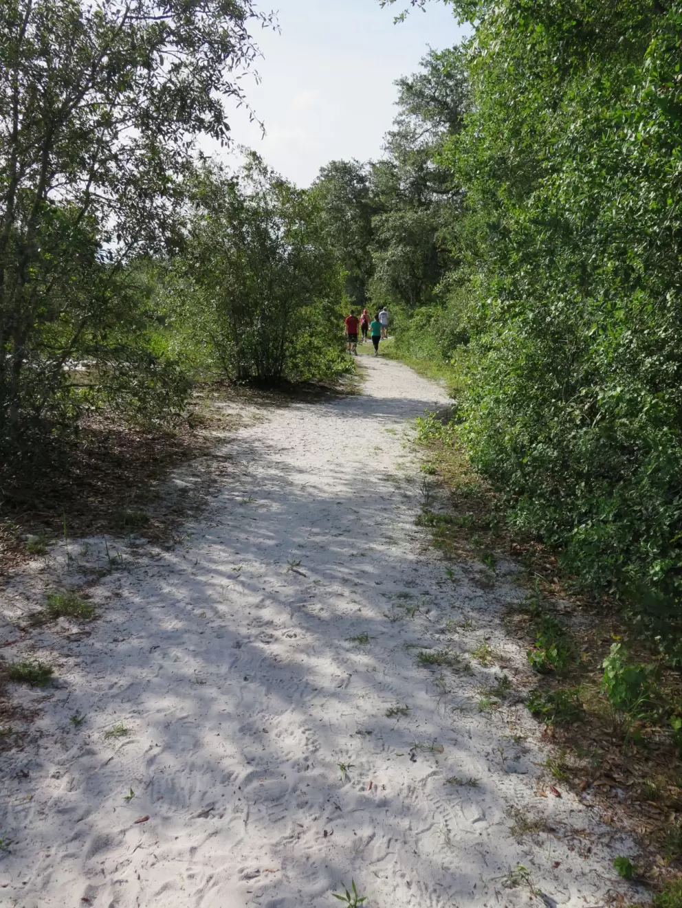 White sand path.