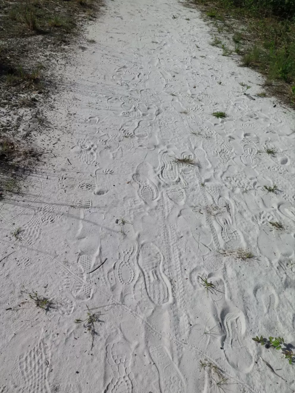 Footprints in the white sand.