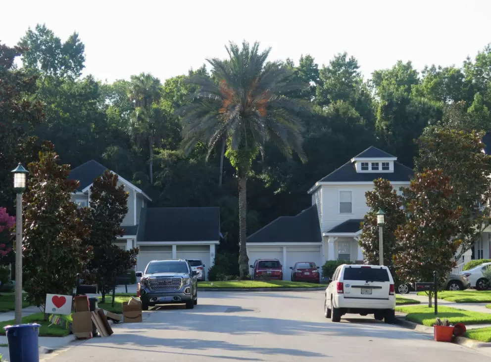 Craftsman-style houses and Canary palm on Banks Rose Ct, a culdesac.