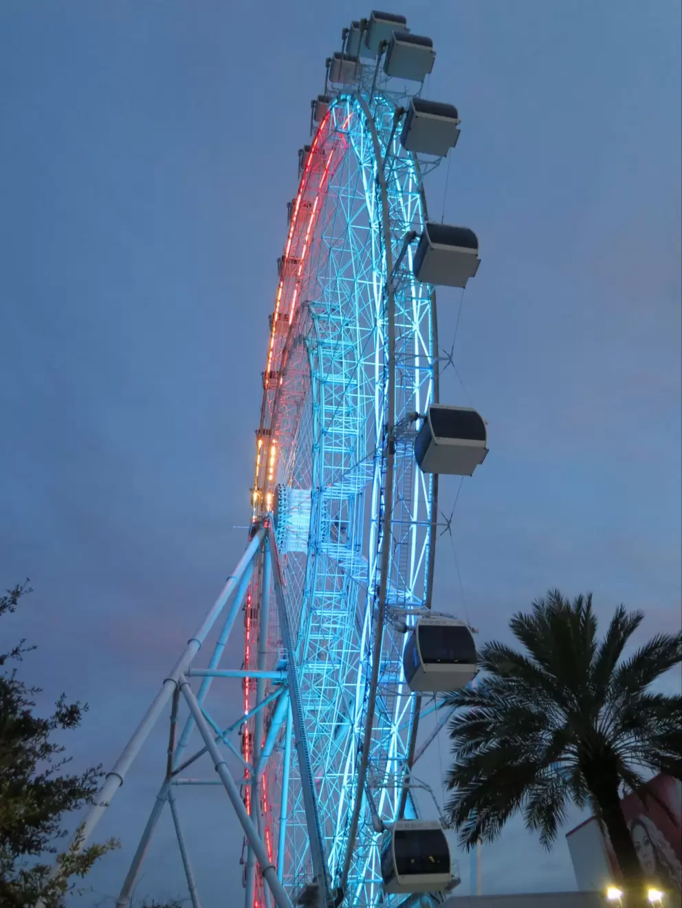 The Wheel at Icon Park