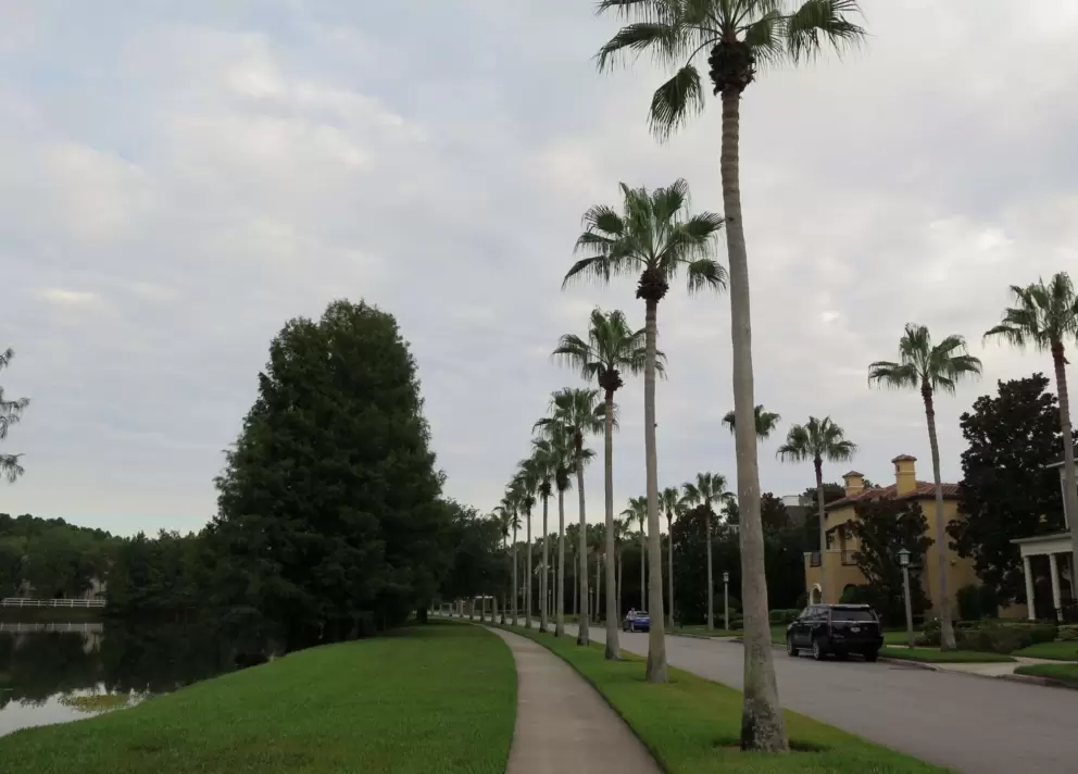 Row of palm trees lining Eastlawn Drive.