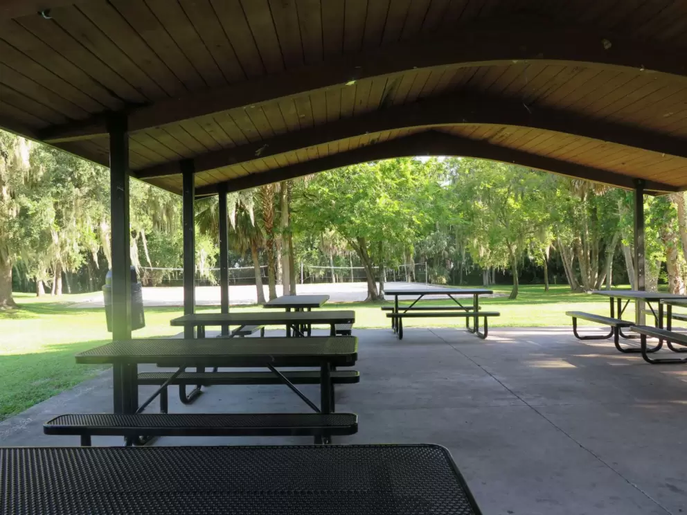 Picnic area with lots of shade and tables.