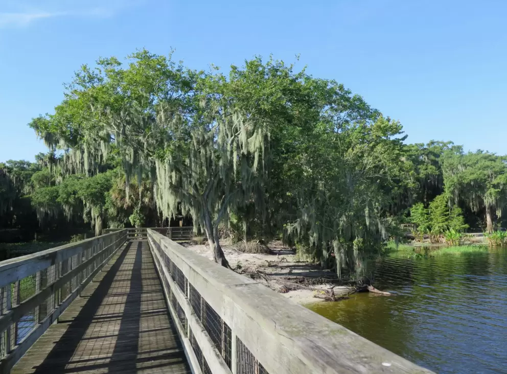 The pier and the beach below.