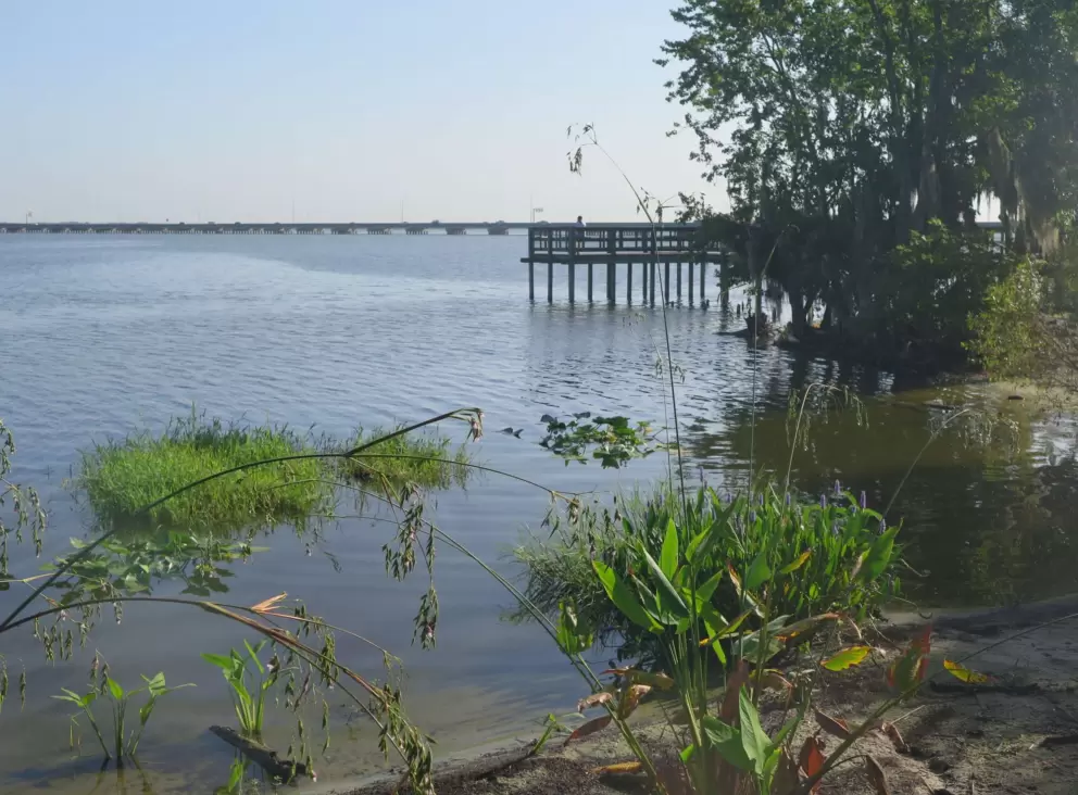 Looking toward the pier past marshy shore.