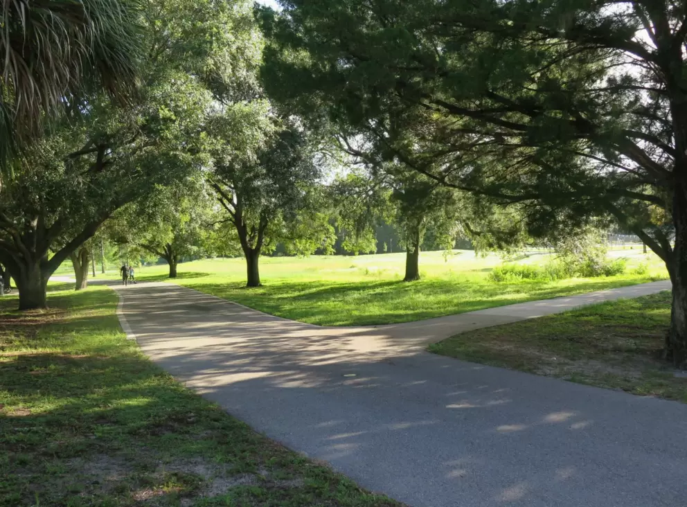 Shady spots on the bike path.