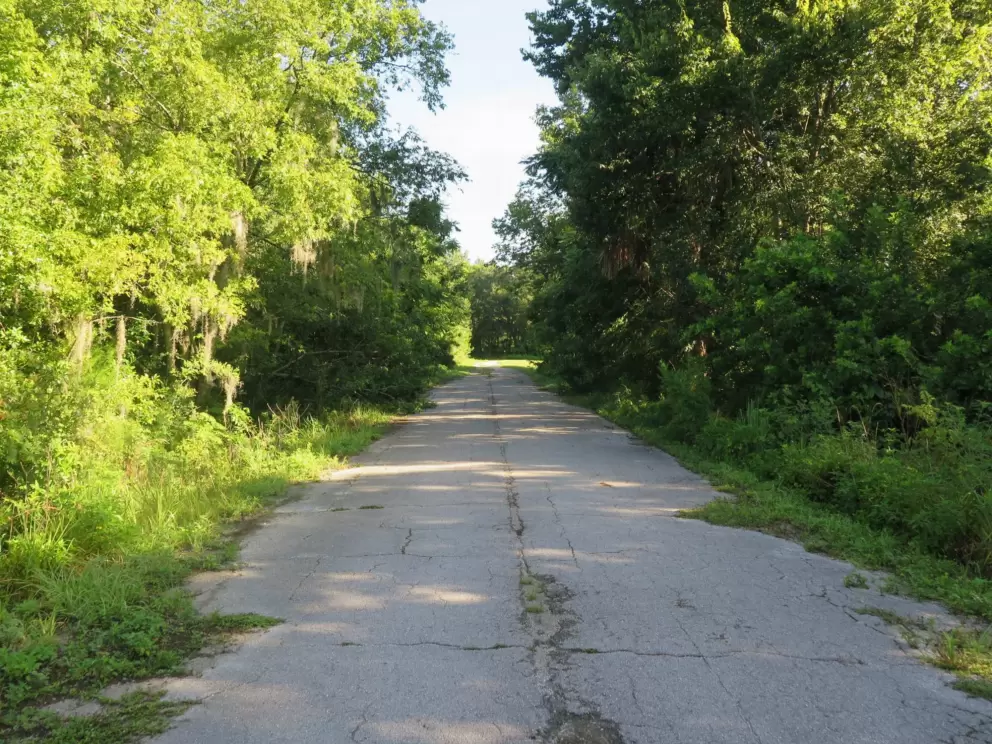 A side path that abruptly comes to an end in the forest.