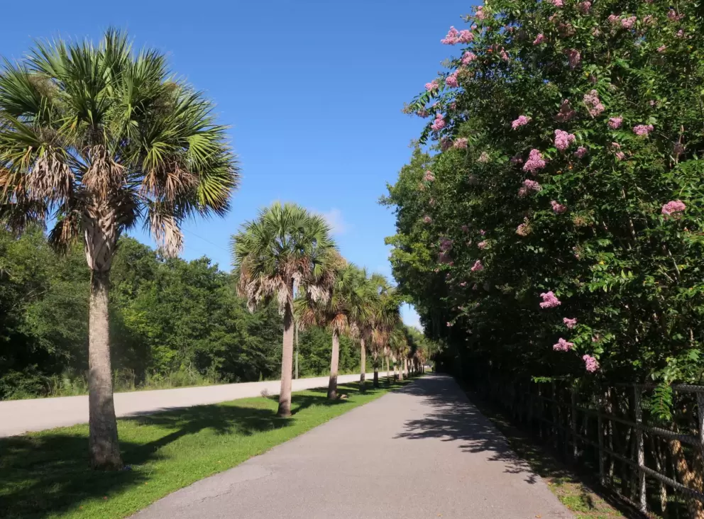 Where the bike path goes past flowers, along Jay Blanchard Trail, a quiet road.