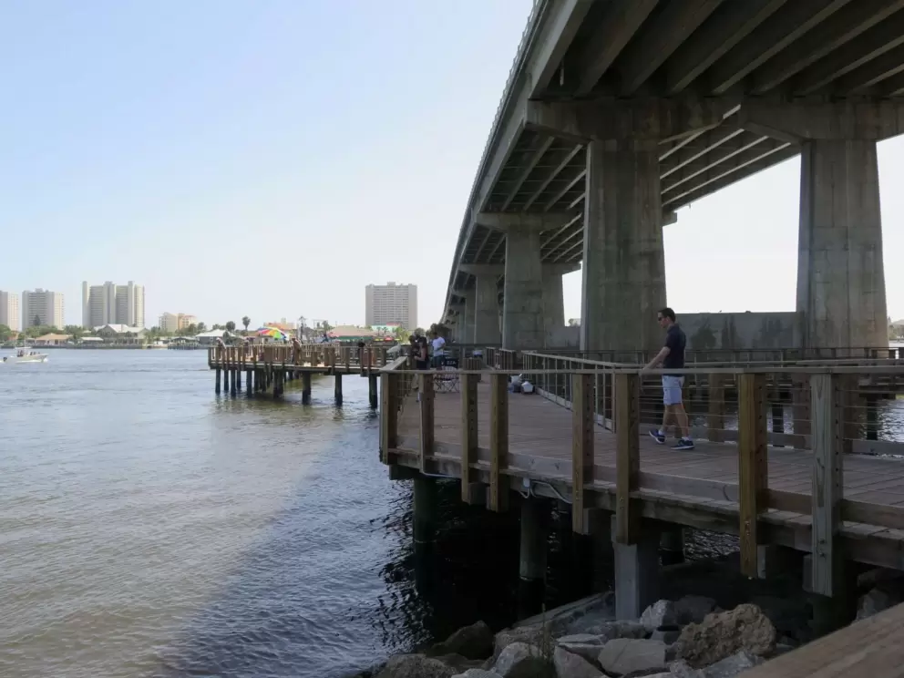 It's wonderful and shady under the causeway!