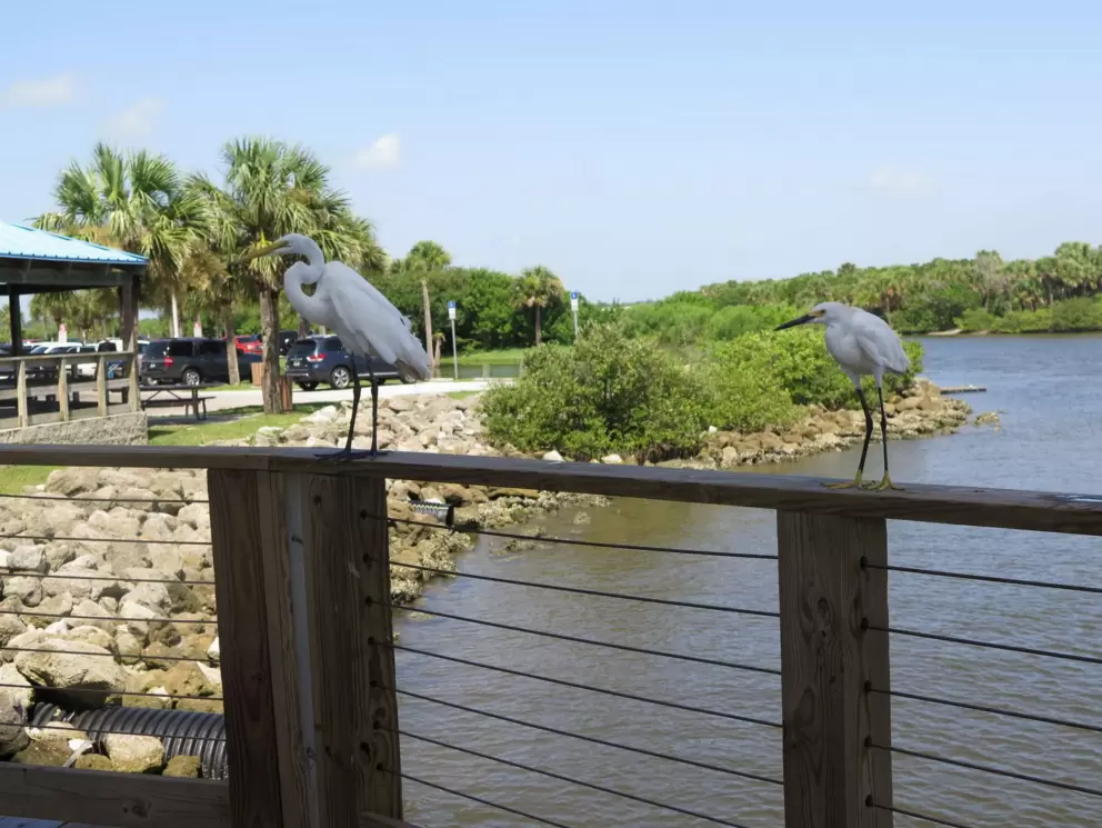 Two birds hang out on the railing.
