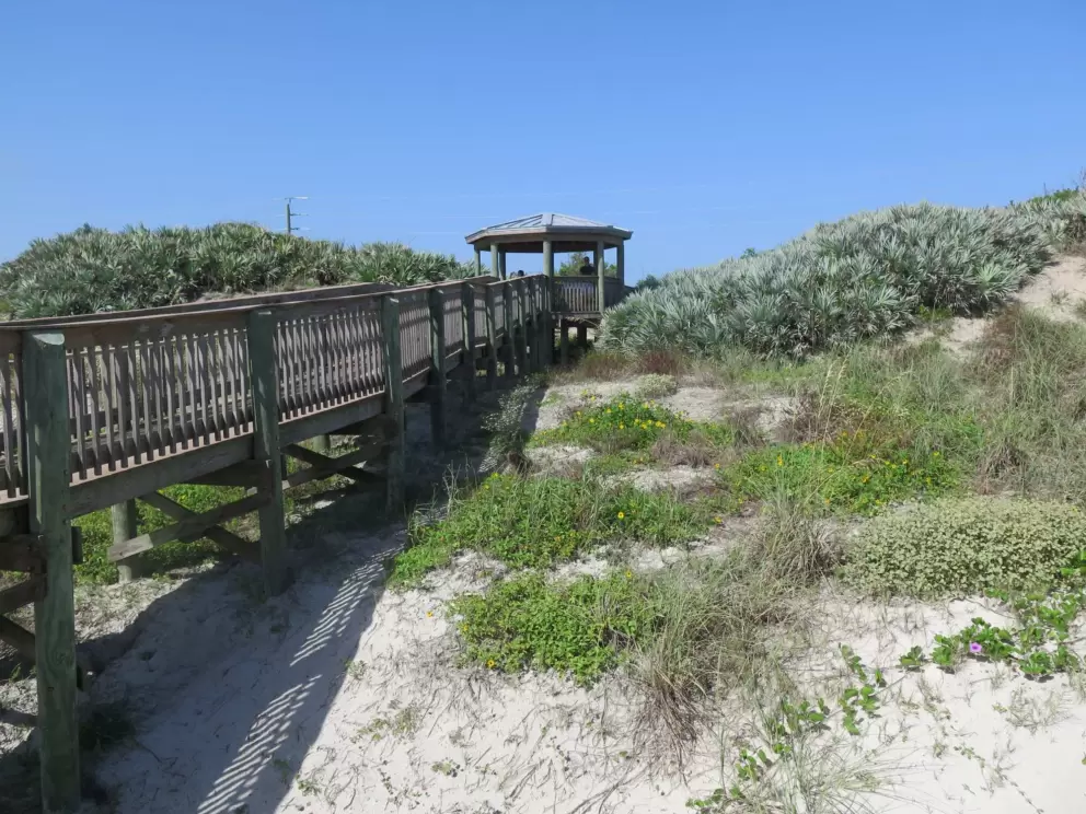 Gazebo and flowers on the dunes.
