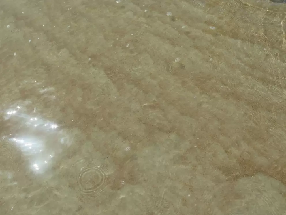 Circles in the water.