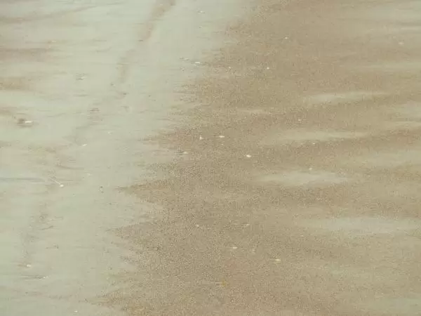 Patterns in the sand!