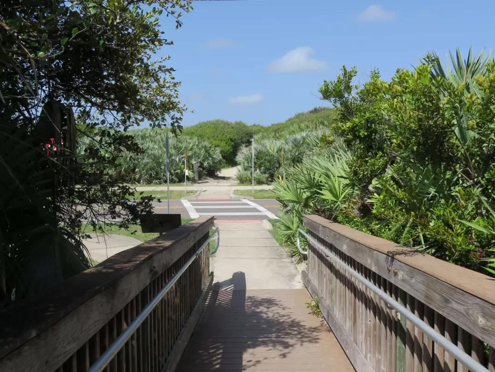 Looking toward the nature trails across the street from the beach.