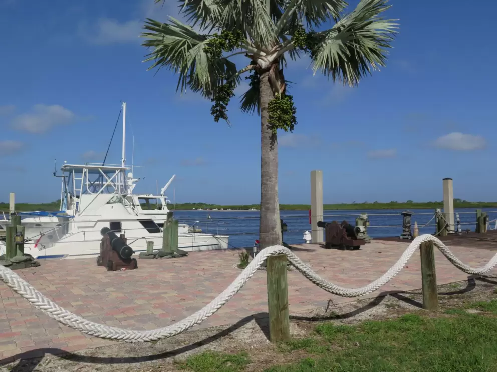 Two cannons and a thick rope fence.