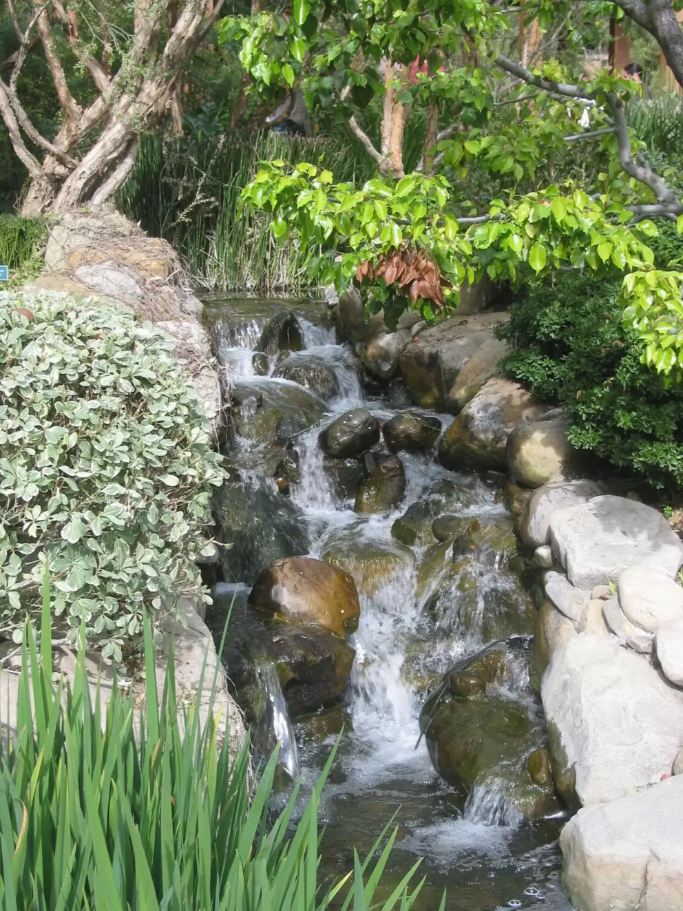 Stream by the Japanese pagoda.