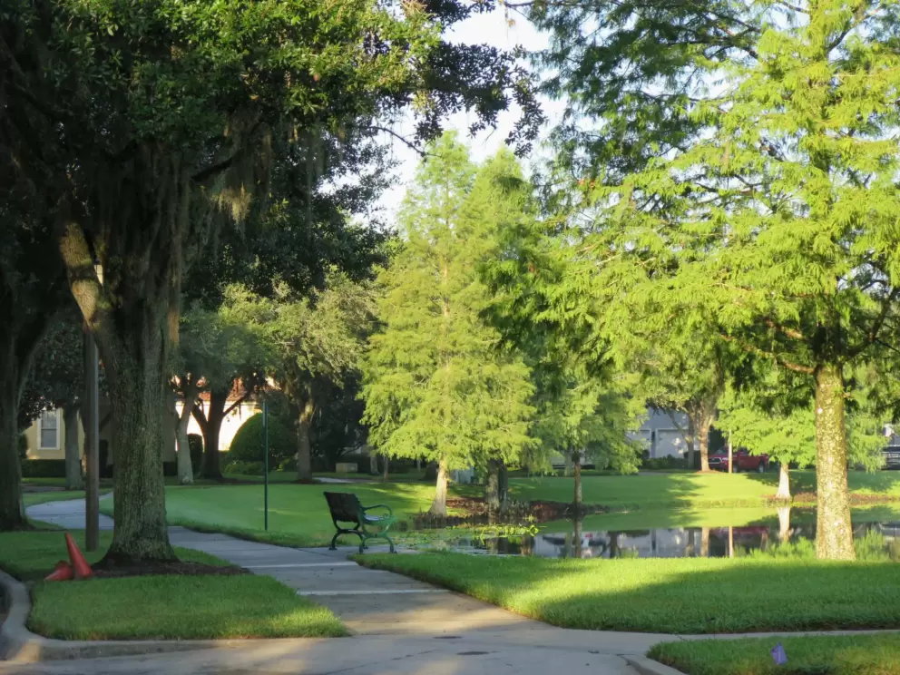 Bench in a peaceful spot at the end of the lake.