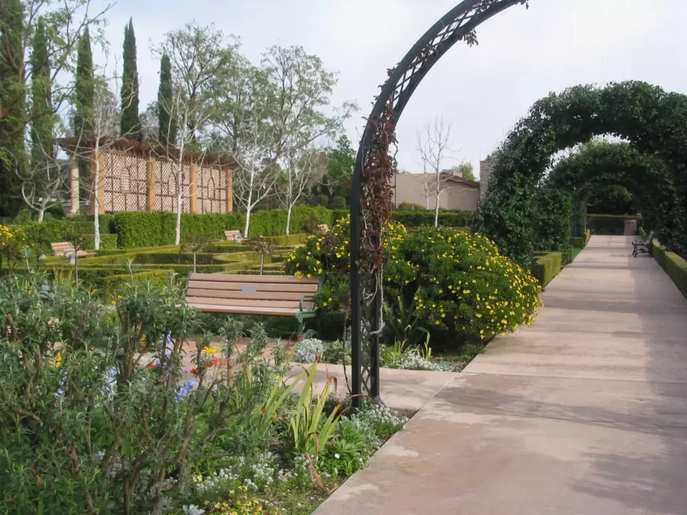 Archways covered in vines in the English garden.