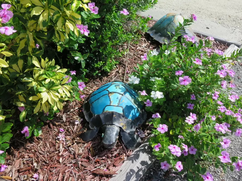 Turtle garden decorations and flowers.