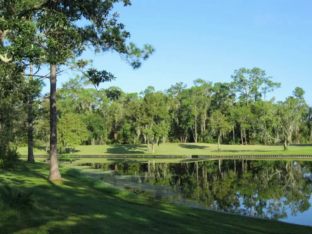 Lots of forest and water.
