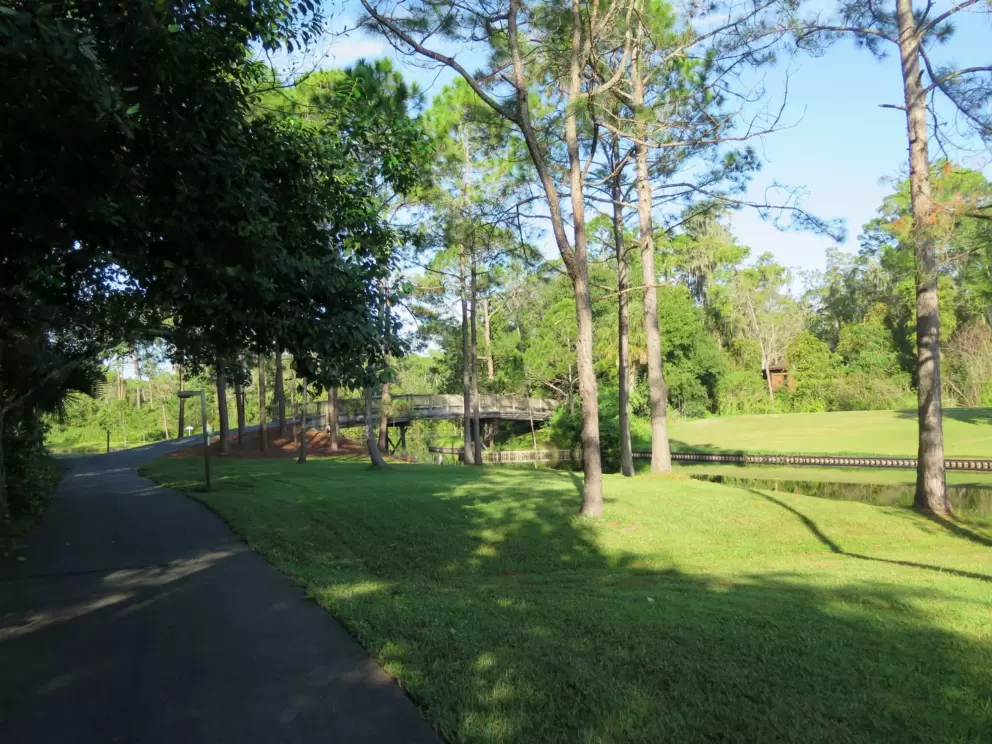 Bridge and lots of grass.