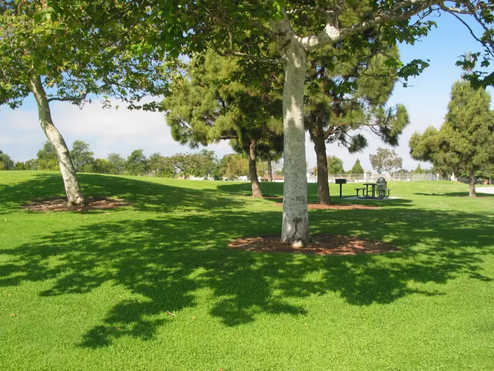 Pretty picnic areas at Seaview Park.