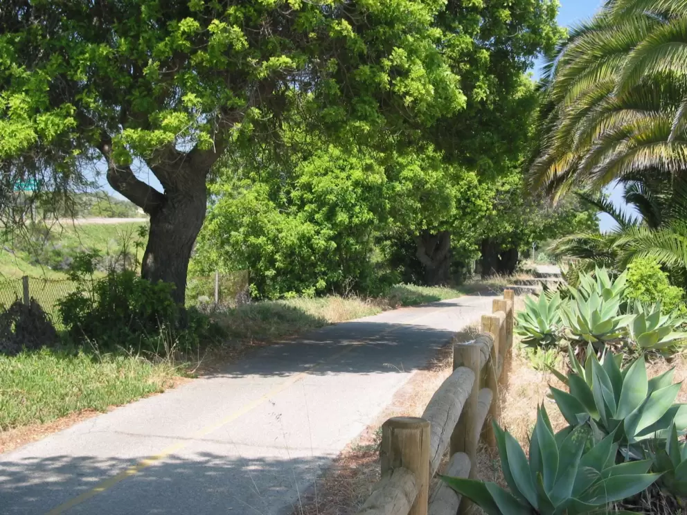 The bike path, as it passes Goleta Beach.