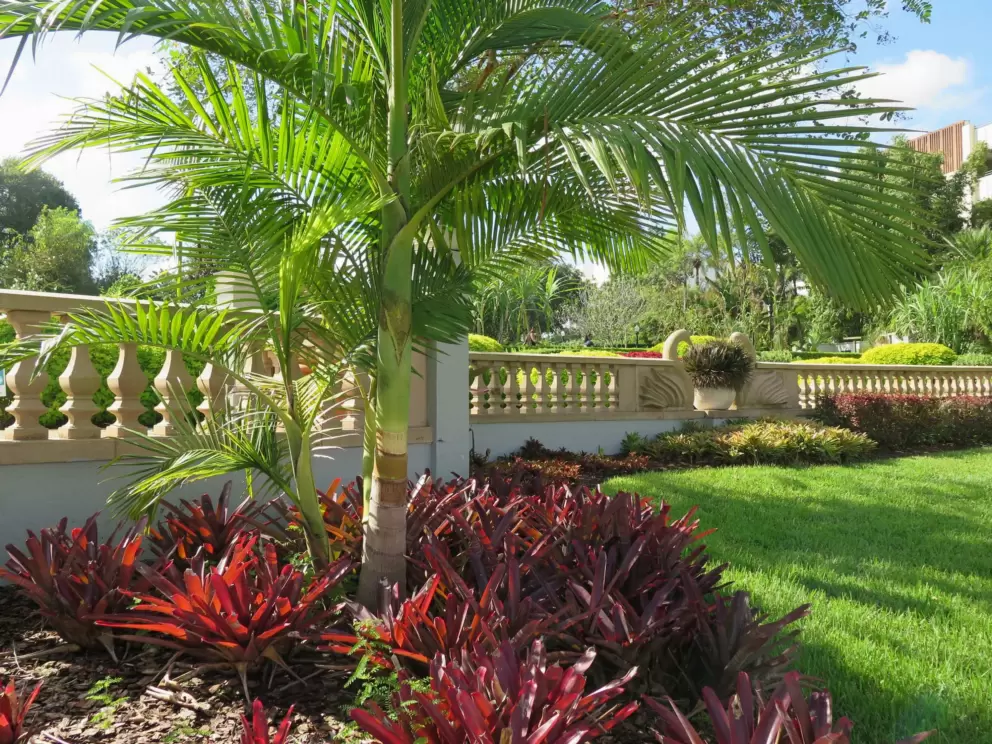 So many beautiful colors. Palms, red plants, and blue sky.