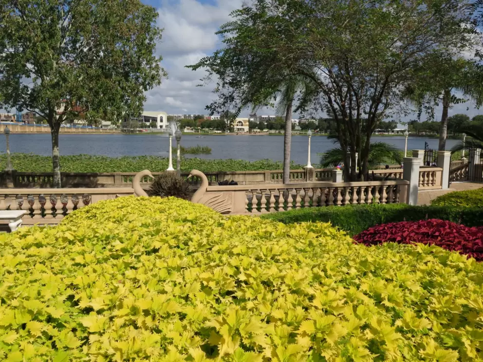 Burst of color, swan sculptures, and lake behind.