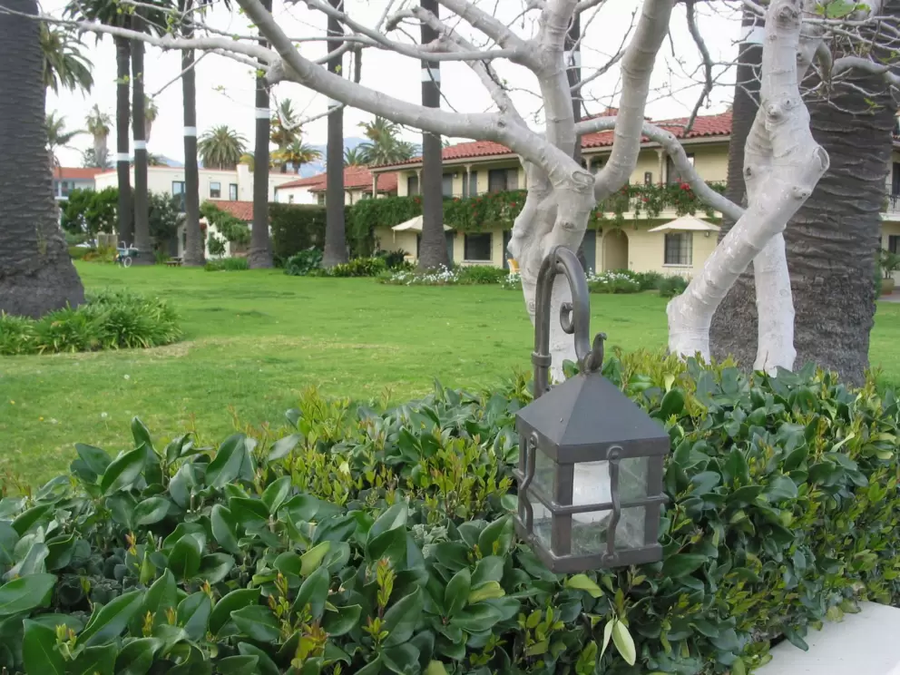 Pretty shrubs and green lawns, near Chad's.