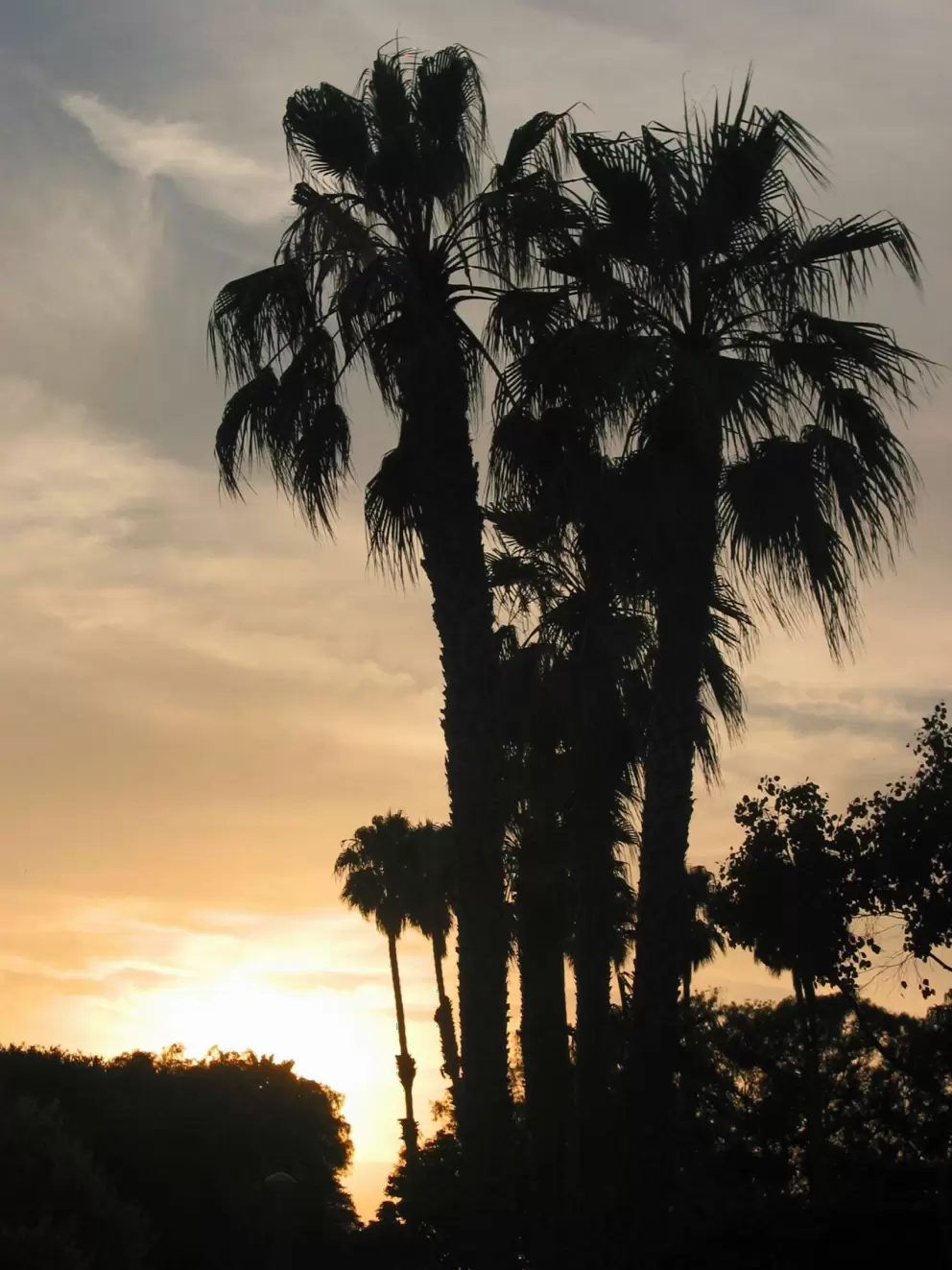 Aaah, California...