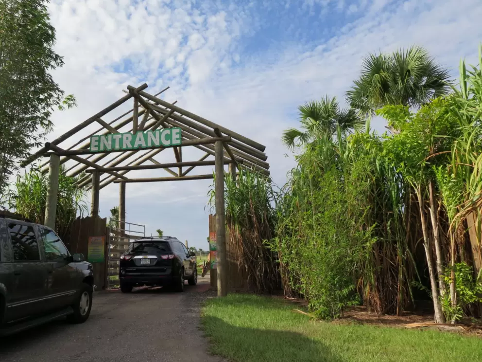Tropical plants at the entrance.