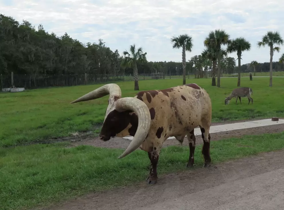 These guys always look cumbersome.