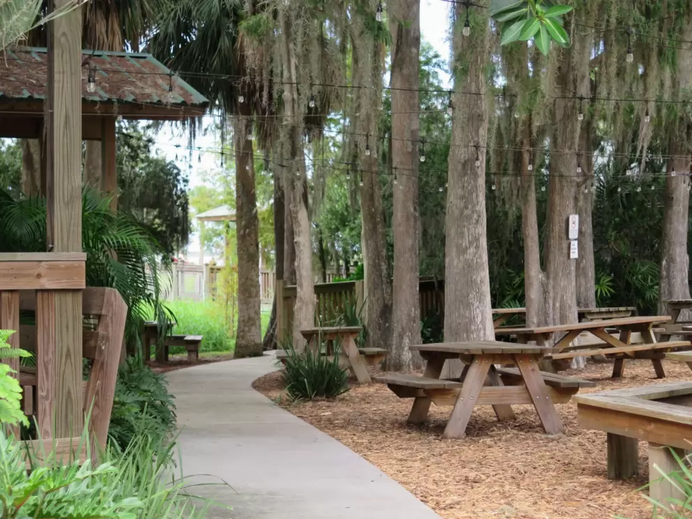 Picnic tables in a coconut grove, at the zoo area.