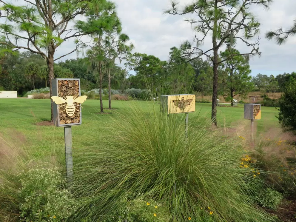 Exhibit about pollinators.