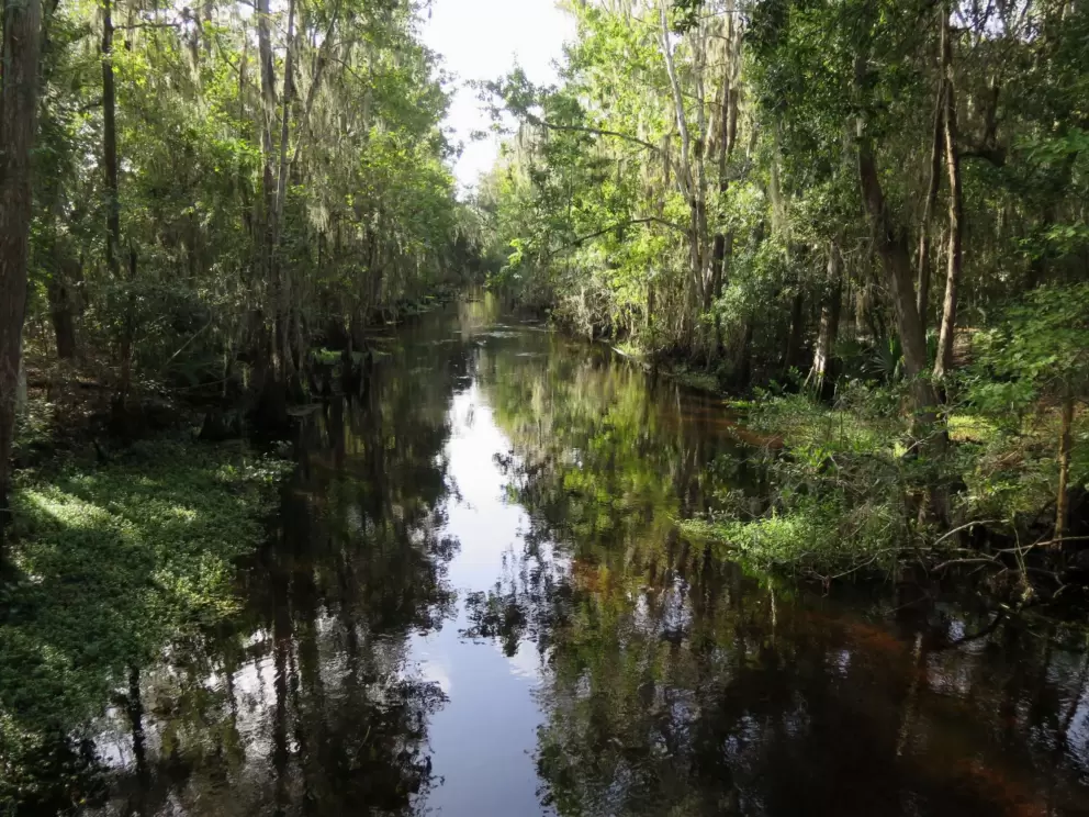 Serene moment on the creek.