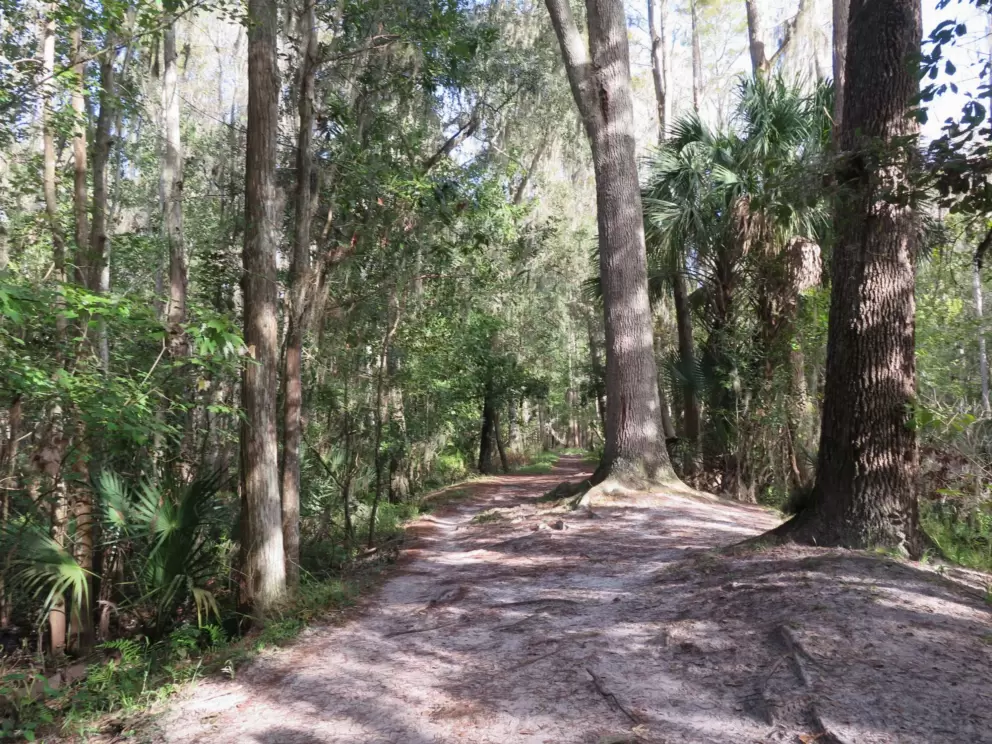 Some of the path is loose dirt.