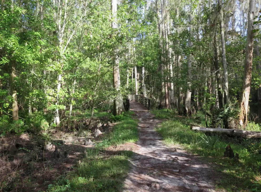 The trail.