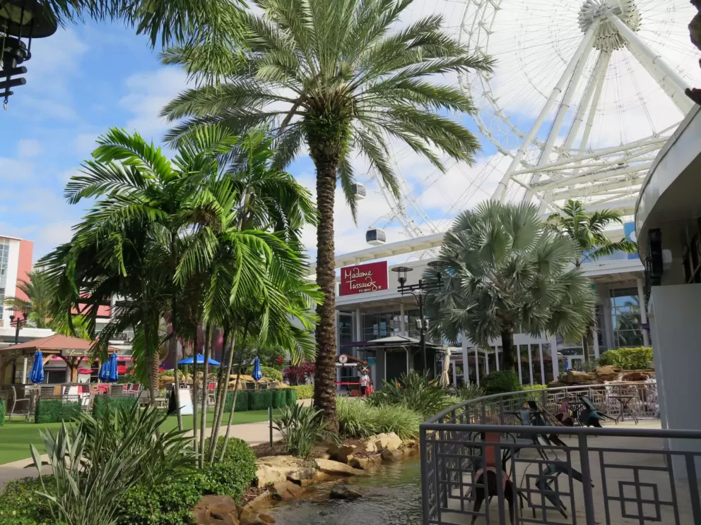 Palms galore.
