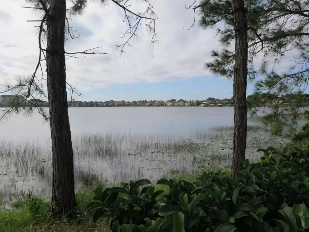 Lake behind the complex, as seen from the parking lot.