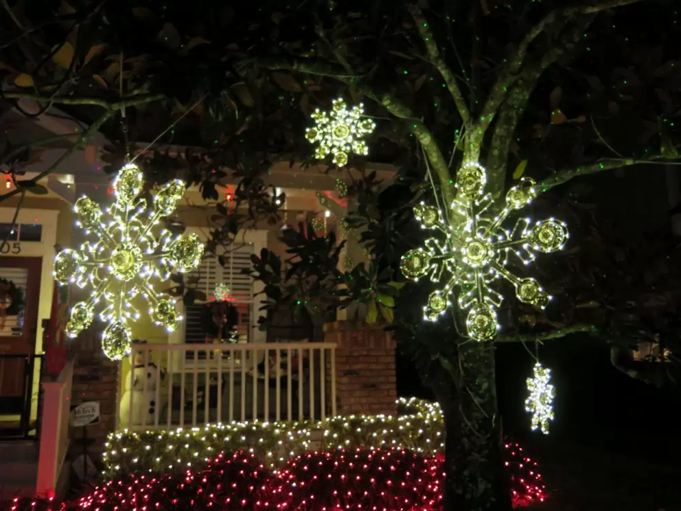 Snowflakes hanging from a tree.
