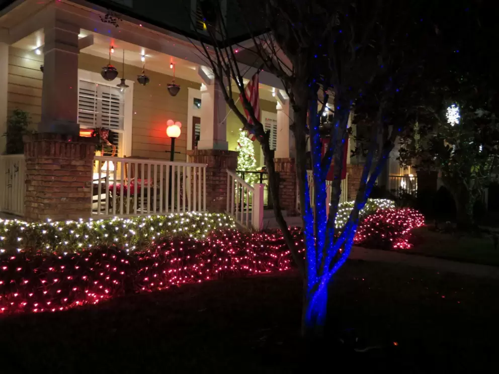 Tree lit in blue.