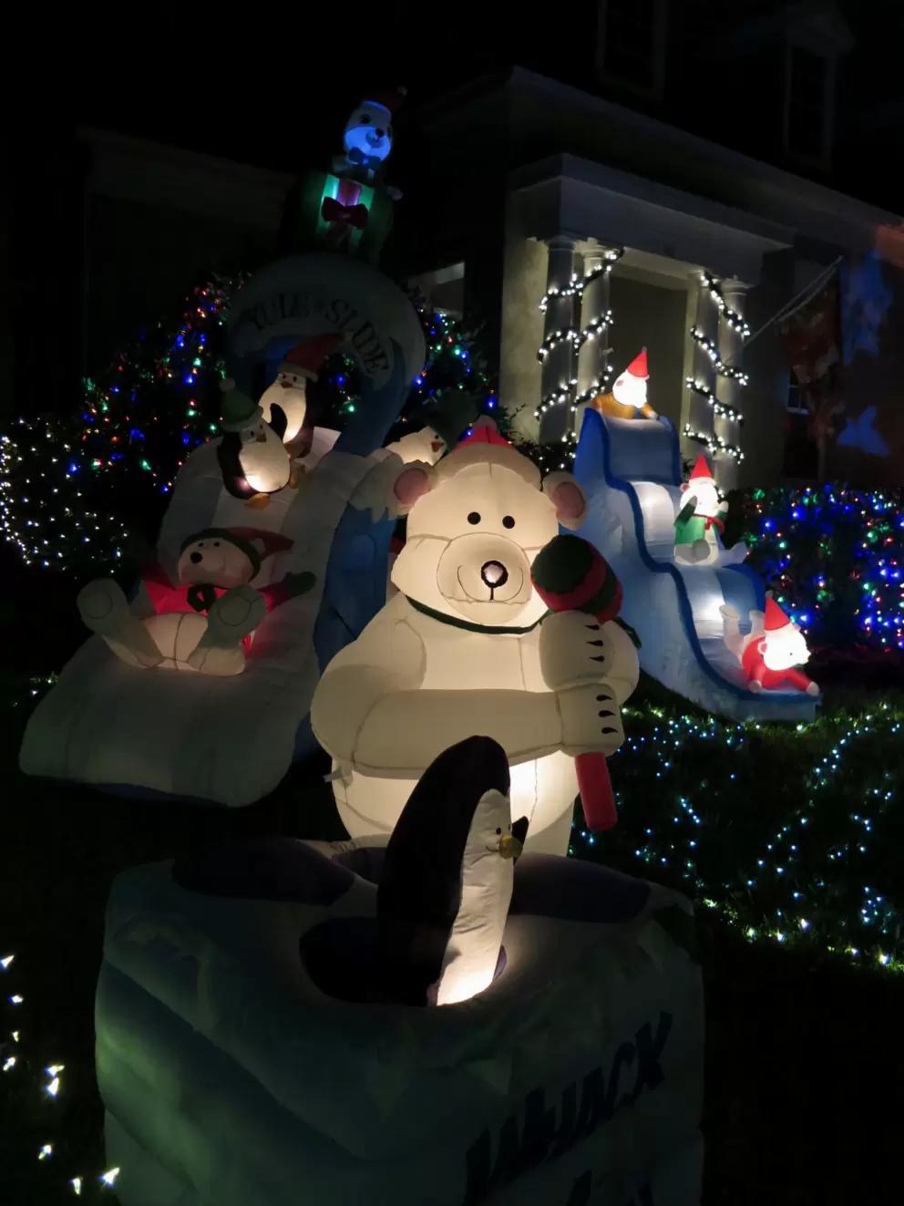 Whack-a-Penguin at a very cute Christmas display on Campus Street.