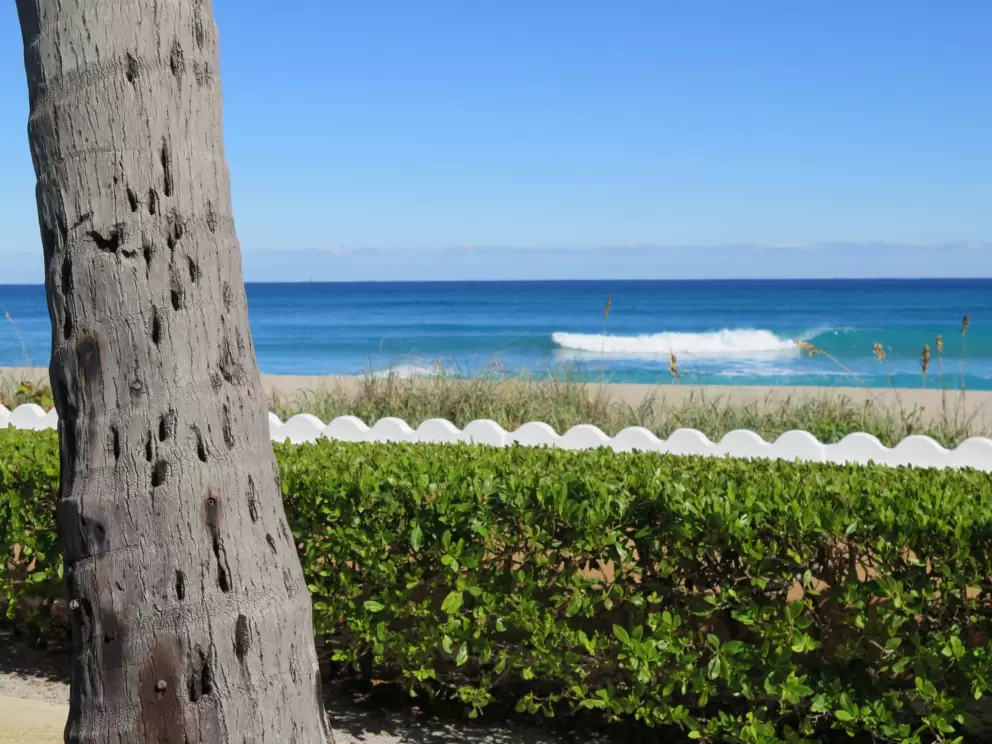A wave breaks in the distance, visible over the wave wall. 