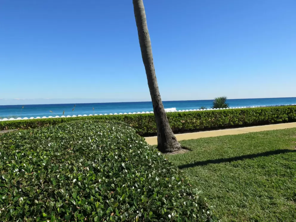 The narrow path between the wave wall and the sidewalk. And the amazing color of the water!