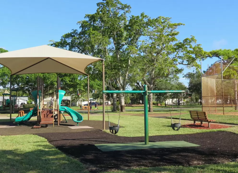 Baby swings and toddler playground with a great shady canopy.